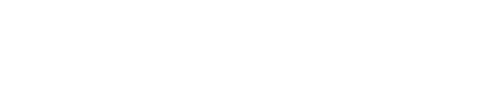 Technowize