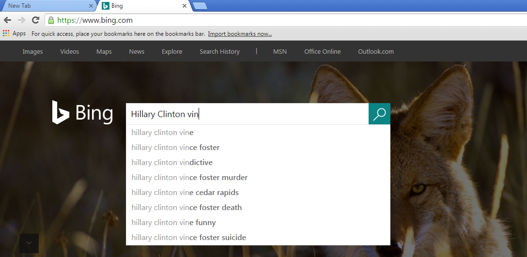 Google Hillary 