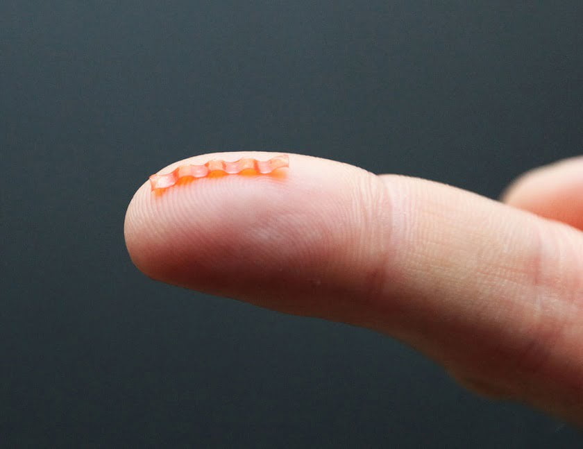 Meet the Tiny, Robotic Caterpillar that can Transport Loads