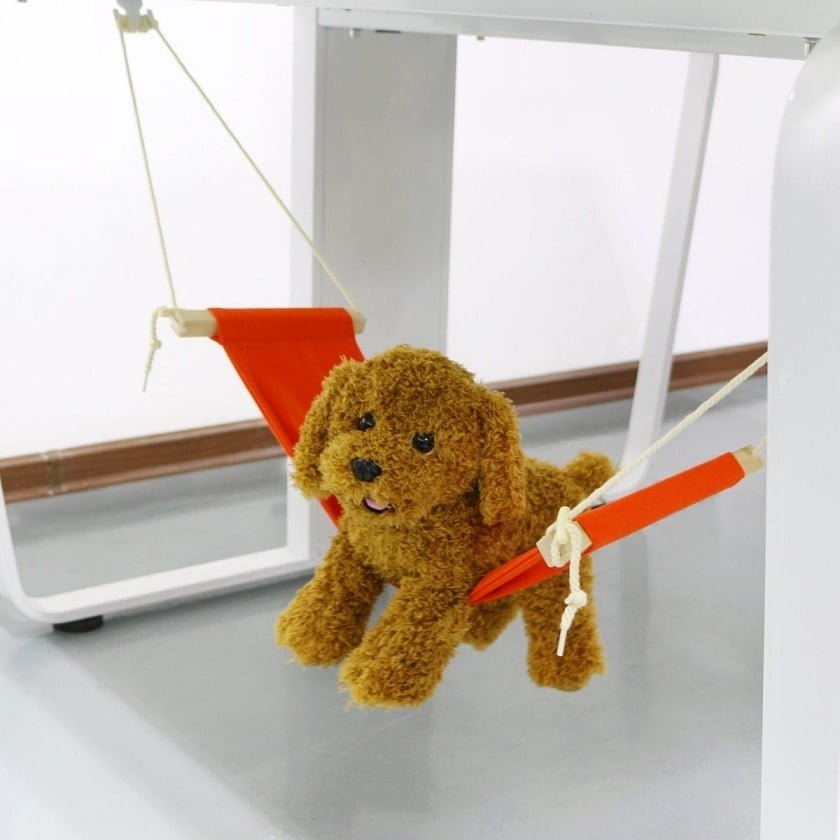 cool desk accessories