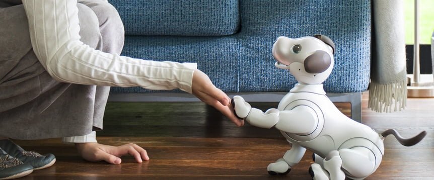 Robotic dog Sony
