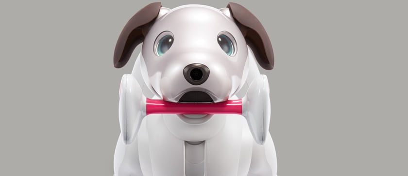 Robotic dog aibo