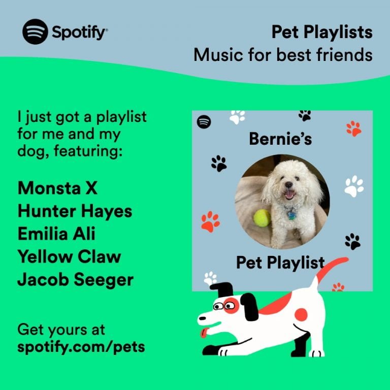 Pet Playlists on Spotify 