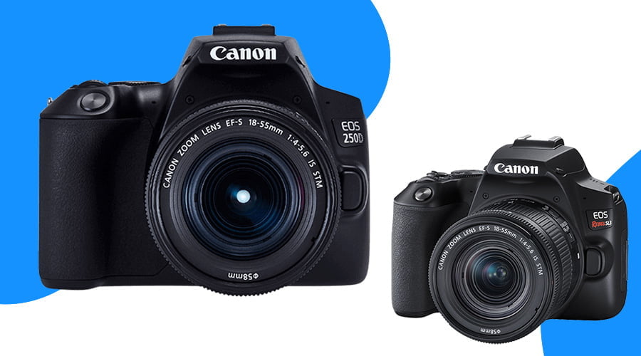 best dslr camera dslr cameras best dslr camera for beginners