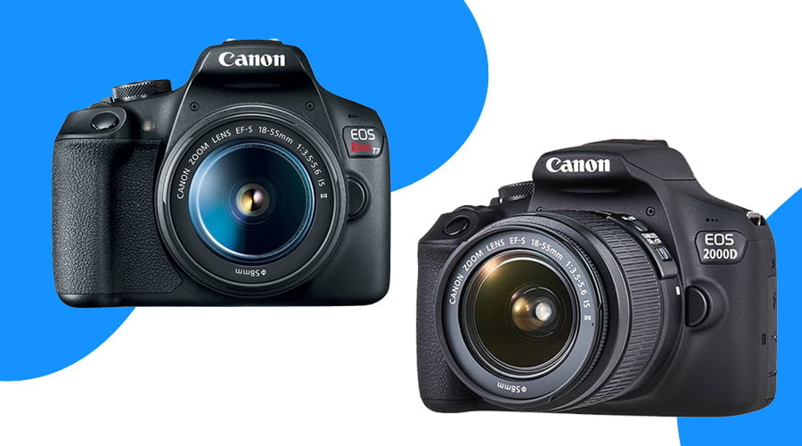 best dslr camera best dslr camera for beginners dslr cameras