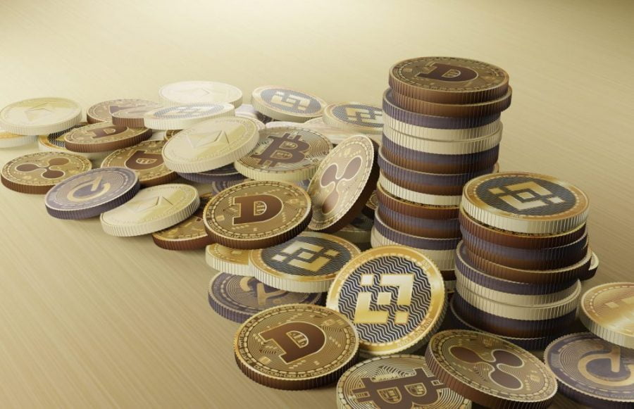 Elon Musk on Meme coin