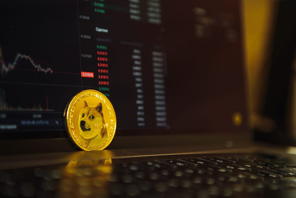 Digital Meme coin Shibu Inu