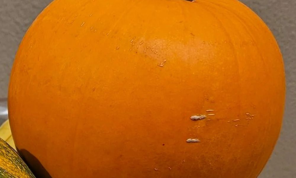 Samsung S23 Specifications