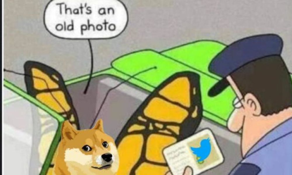 Twitter Logo Change Can’t ‘Doge’ Past Controversies and Trolls