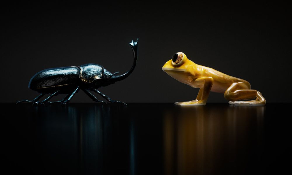 Nothing community update