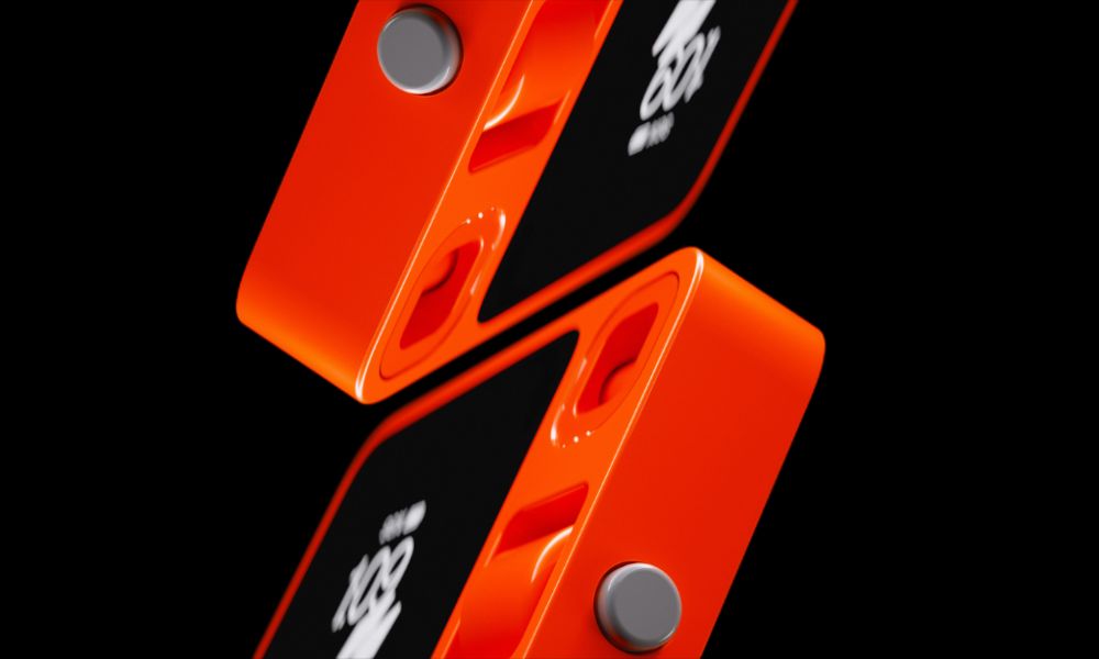 Rabbit R1 security flaw