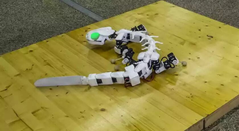Don’t be Scared, it’s just a Green Eyed Salamander Robot