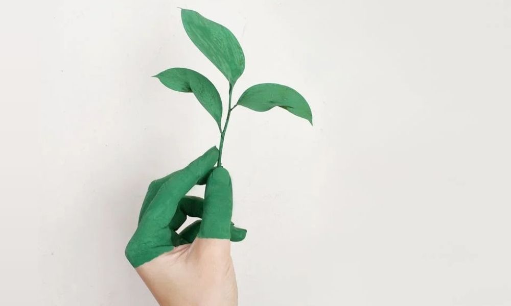 The Rise of Paper-Based Plant Wearable Devices