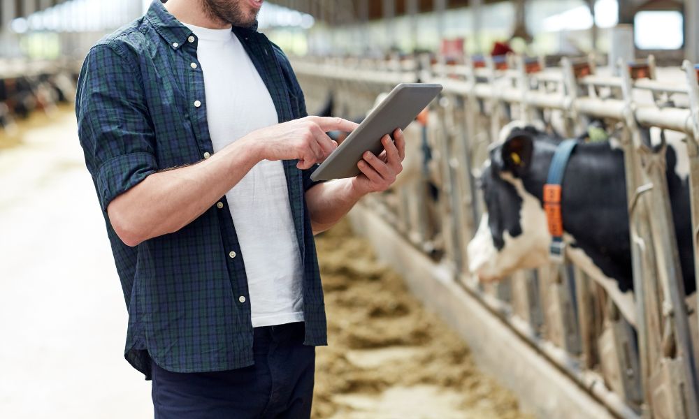 Beyond Tracking How Wearables Are Redefining Animal Health