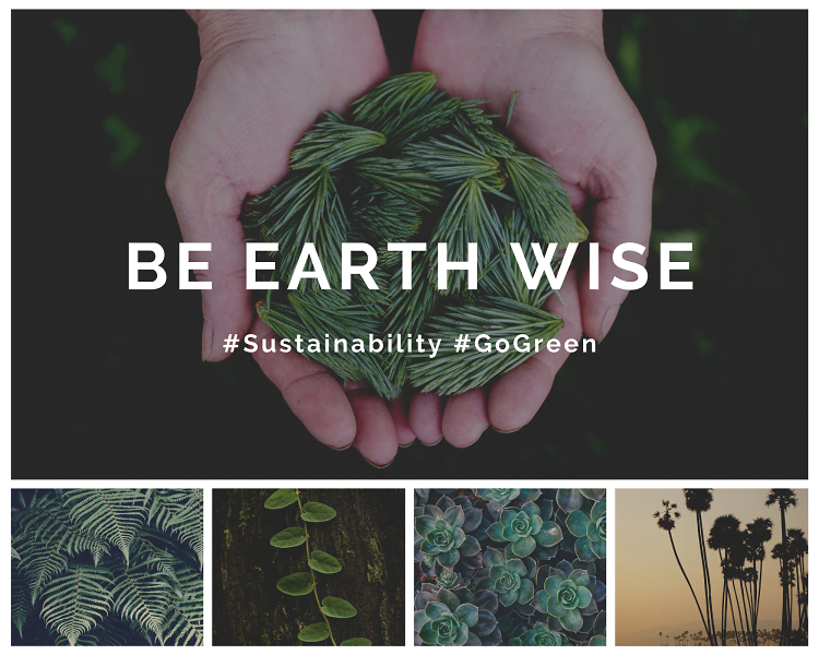 5 Eco-Friendly Apps to Help You Go Green