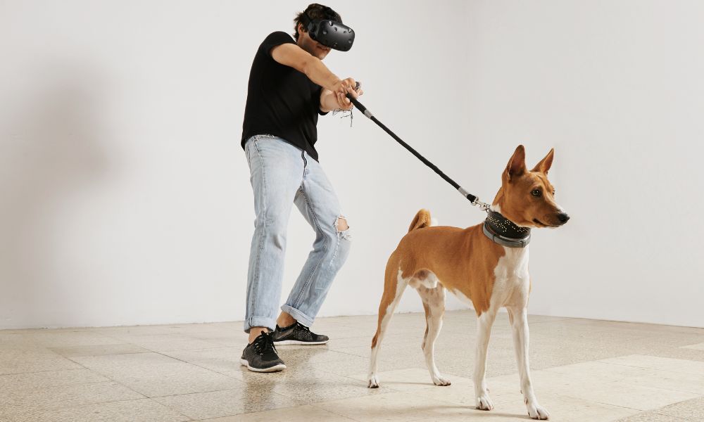 Germany smartwatch market