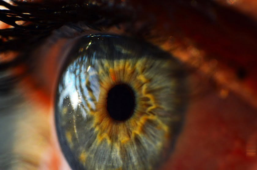 A Peek inside the Google Bionic Eye Patent