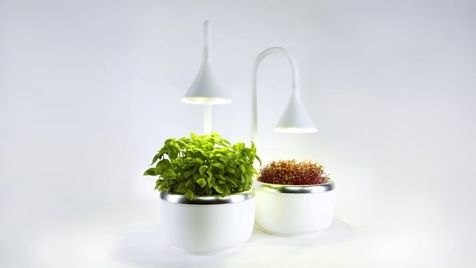 SproutsIO Smart Microgarden Enables Growing Vegetables in the Kitchen