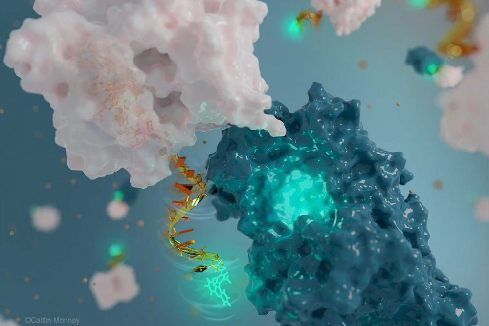 World’s Tiniest Antenna Made from DNA